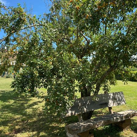 Les Feuilles Jaunes Chantenay-Saint-Imbert エクステリア 写真