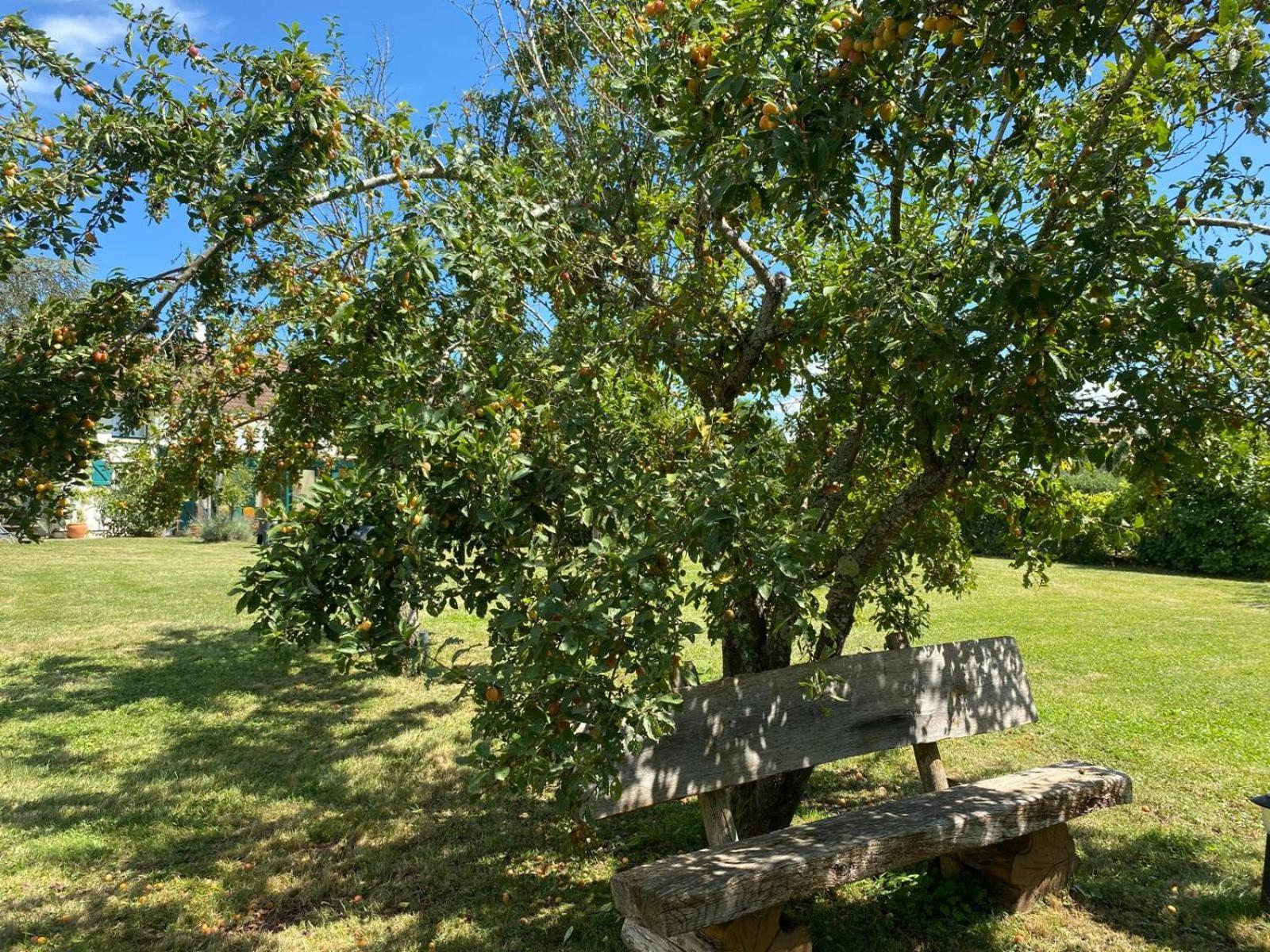 Les Feuilles Jaunes Chantenay-Saint-Imbert エクステリア 写真
